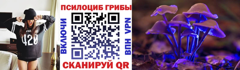 Псилоцибиновые грибы MAGIC MUSHROOMS  Нерюнгри 