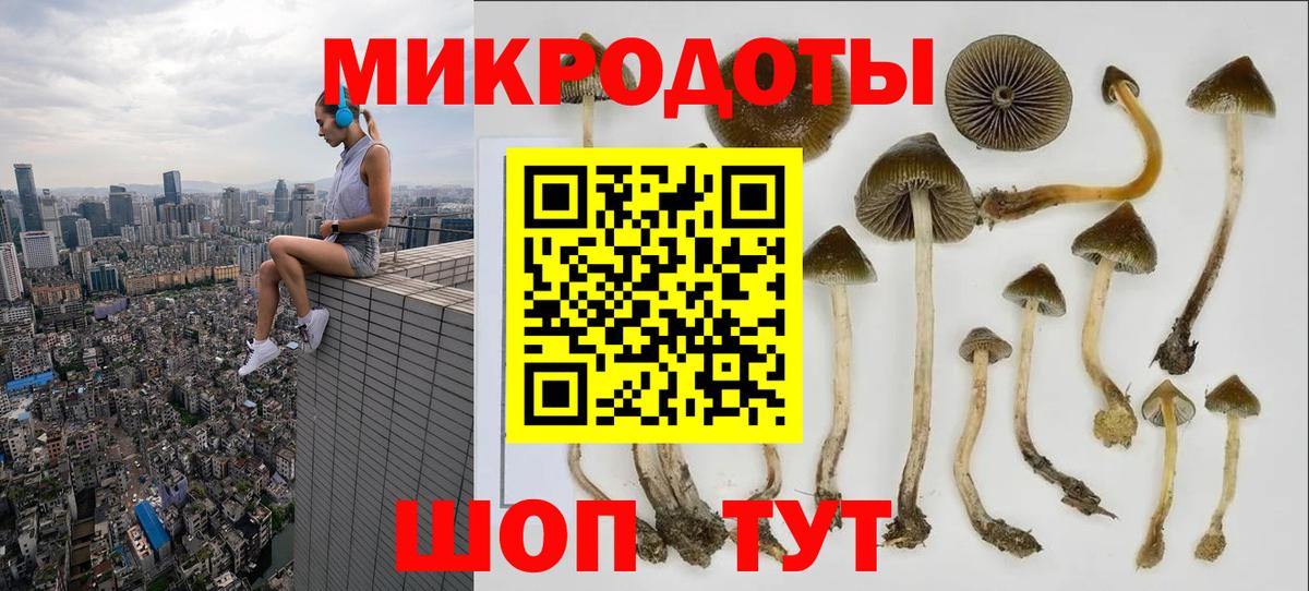 Галлюциногенные грибы мухоморы  Вход с VPN  Нерюнгри 